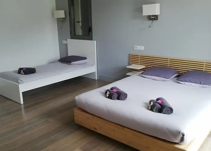 Des Isards מלון 3*